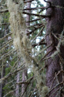 /album/sankt-lambrecht-12-april/st-lambrecht-12-04-2026-24-jpg/